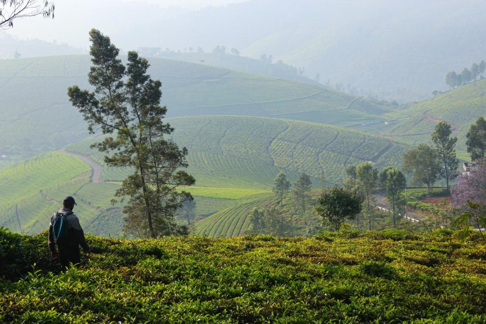 Ghar - Homestay, Where Family Lives Together Aravankādu Eksteriør billede