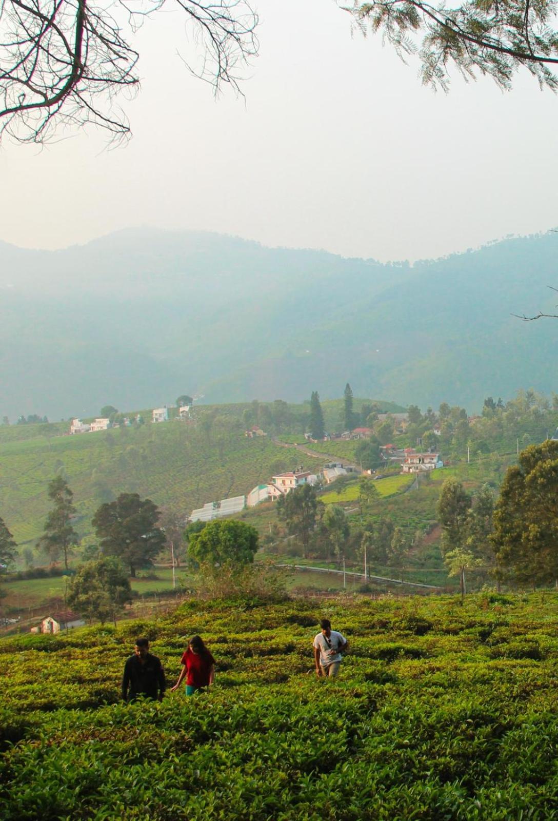 Ghar - Homestay, Where Family Lives Together Aravankādu Eksteriør billede